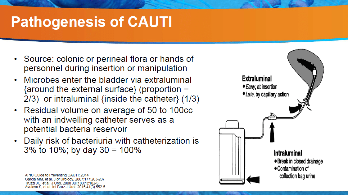 Pathogenesis of CAUTI